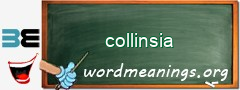 WordMeaning blackboard for collinsia